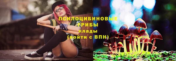 молекула духа Богданович