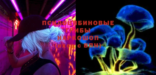 mdpv Богородицк