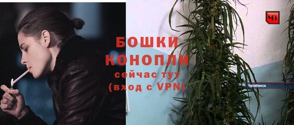 ПСИЛОЦИБИНОВЫЕ ГРИБЫ Богородск