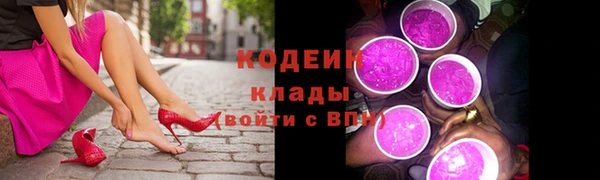 молекула духа Богданович