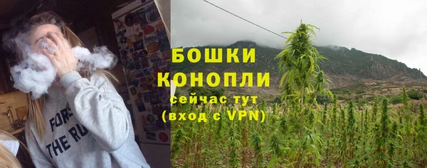 mdpv Богородицк