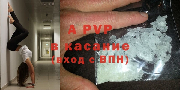 молекула духа Богданович