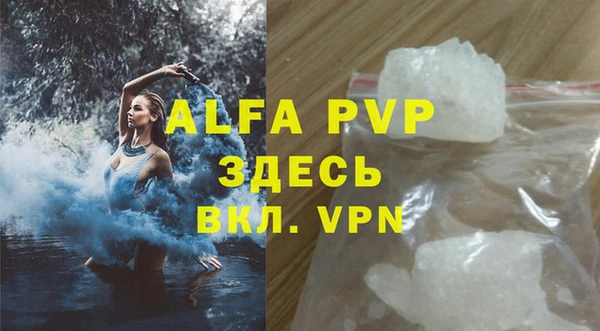 молекула духа Богданович