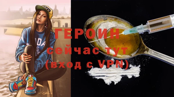 молекула духа Богданович