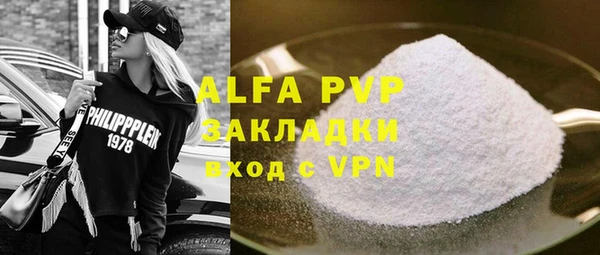 молекула духа Богданович