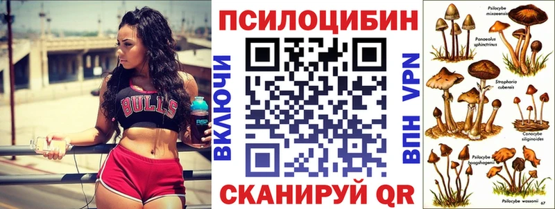 Галлюциногенные грибы Psilocybe  Светлогорск 