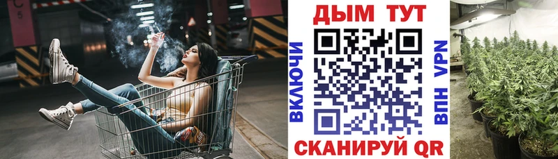 Бошки марихуана гибрид  Светлогорск 